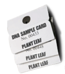 Plant leaf DNA Sample Cards, 20 pack