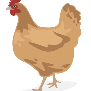 H5N1 Avian Influenza qPCR kit, 100 reactions