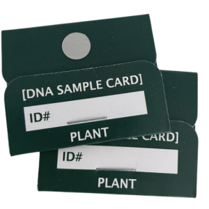 dnature Plant leaf DNA Sample Cards, 50 pack