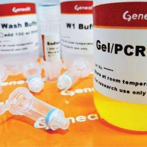 Gel/PCR DNA Fragments Kit, 100 Preps