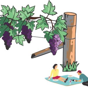 Total Yeast Wine qPCR kit, 100 reactions